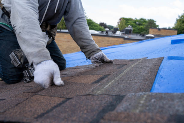 Best Flat Roof Repair Services  in Leesburg, OH