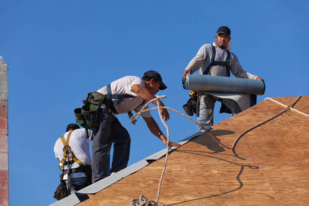 Best New Roof Installation  in Leesburg, OH